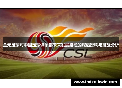 金元足球对中国足球俱乐部未来发展路径的深远影响与挑战分析