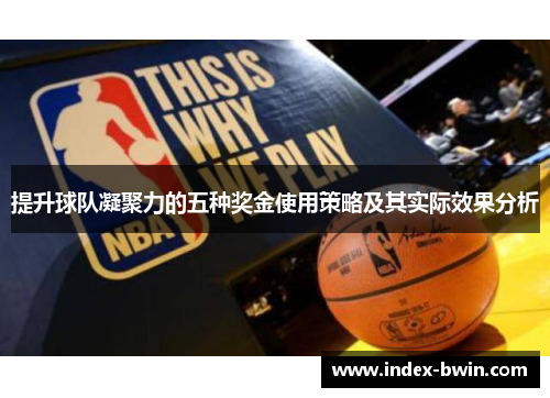 提升球队凝聚力的五种奖金使用策略及其实际效果分析