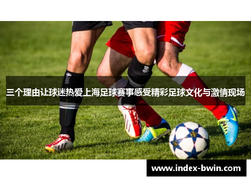 三个理由让球迷热爱上海足球赛事感受精彩足球文化与激情现场