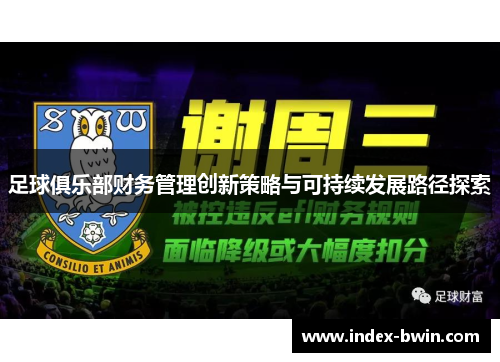 足球俱乐部财务管理创新策略与可持续发展路径探索