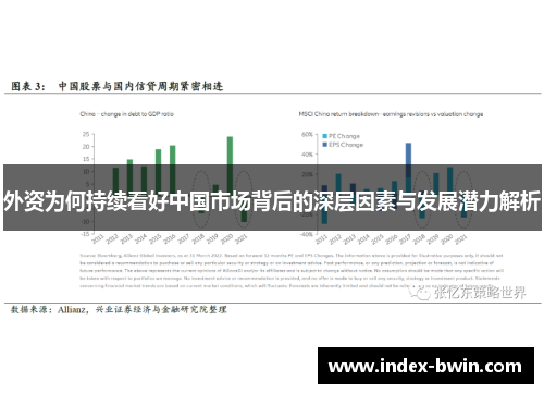 外资为何持续看好中国市场背后的深层因素与发展潜力解析
