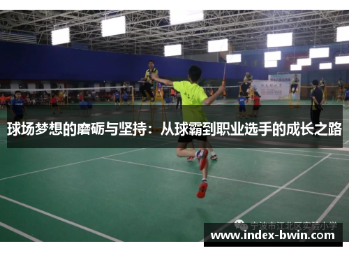 球场梦想的磨砺与坚持：从球霸到职业选手的成长之路