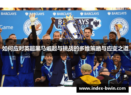 如何应对英超黑马崛起与挑战的多维策略与应变之道