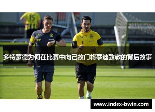 多特蒙德为何在比赛中向已故门将泰迪致敬的背后故事