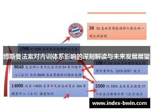 博斯曼法案对青训体系影响的深刻解读与未来发展展望