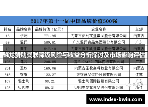 骁龙赞助曼联降级风险与收益分析探讨及市场影响评估