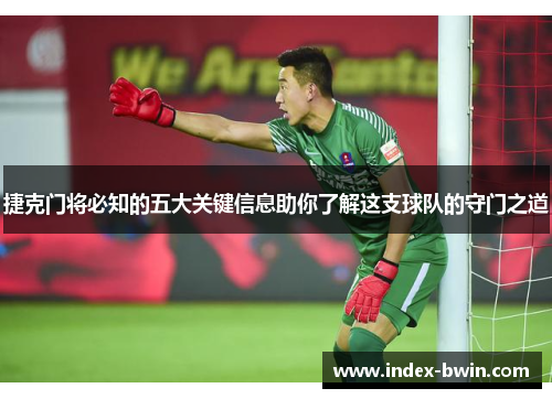 捷克门将必知的五大关键信息助你了解这支球队的守门之道