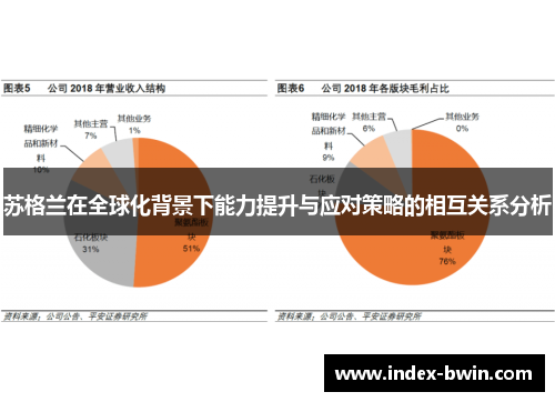 苏格兰在全球化背景下能力提升与应对策略的相互关系分析