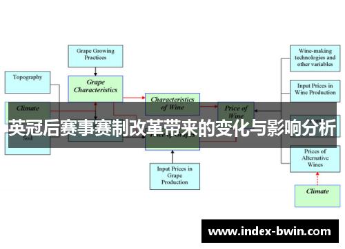 英冠后赛事赛制改革带来的变化与影响分析 英冠后赛事赛制改革带来的变化与影响分析